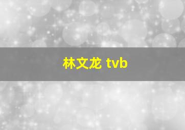 林文龙 tvb